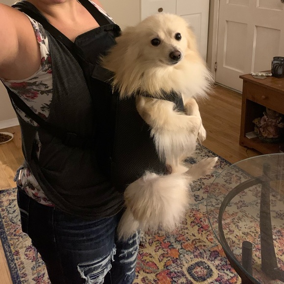 Other - Dog Carrying Harness